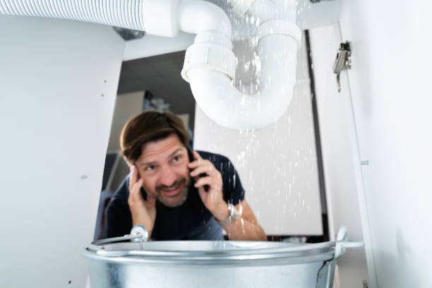 Best Plumbing Inspection Services  in Sullivan, MO